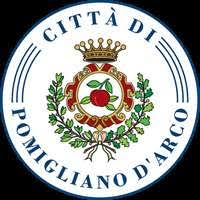 Associazione Pomigliano in Movimento